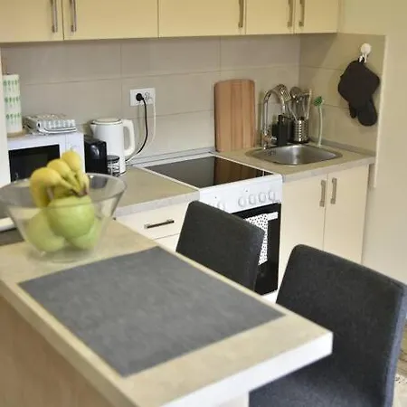 Center Penthouse Duplex Apartament Belgrad