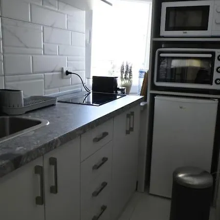 Daire Center Penthouse Duplex Belgrad