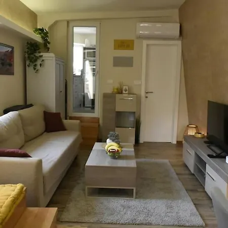 Apartment Center Penthouse Duplex *