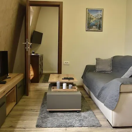 Center Penthouse Duplex Belgrad